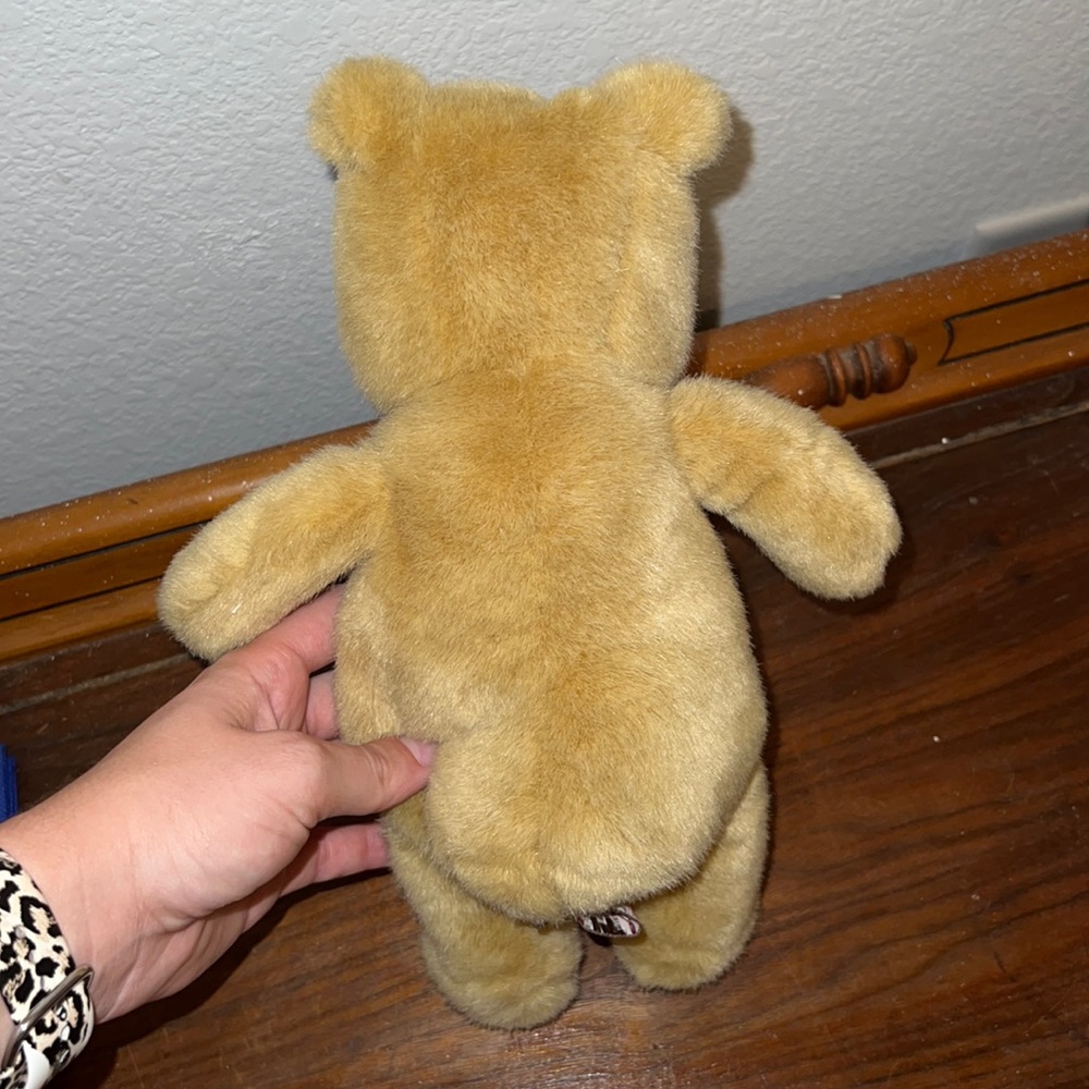 Cute bear - Picture 2 of 2